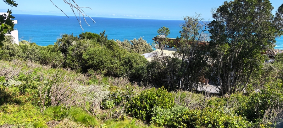 0 Bedroom Property for Sale in Brenton On Sea Western Cape